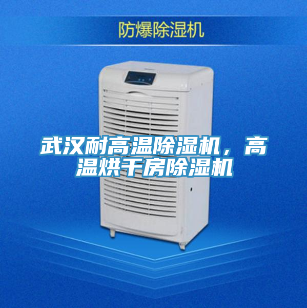 武漢耐高溫除濕機，高溫烘干房除濕機