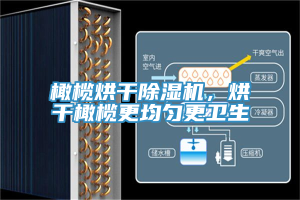 橄欖烘干除濕機(jī),烘干橄欖更均勻更衛(wèi)生