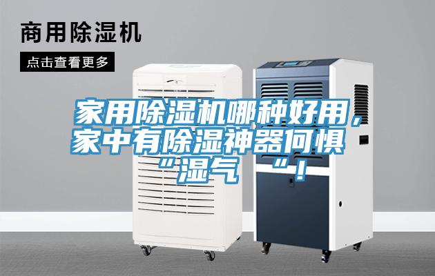 家用除濕機哪種好用,家中有除濕神器何懼 “濕氣 “!