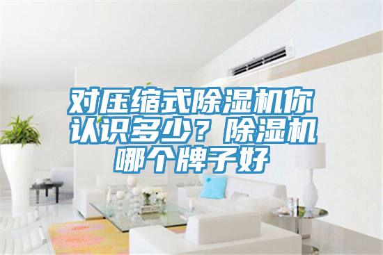 對壓縮式除濕機你認識多少？除濕機哪個牌子好