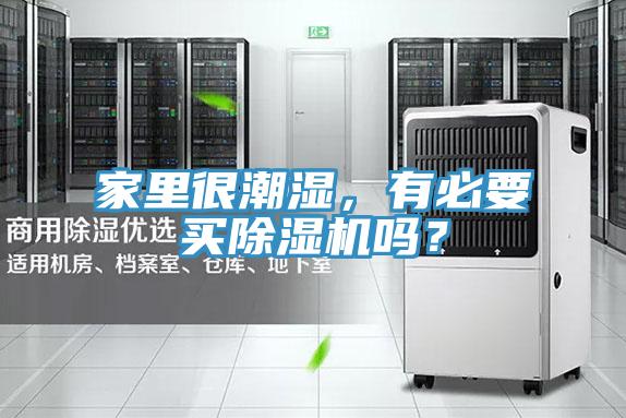 家里很潮濕,有必要買除濕機嗎?