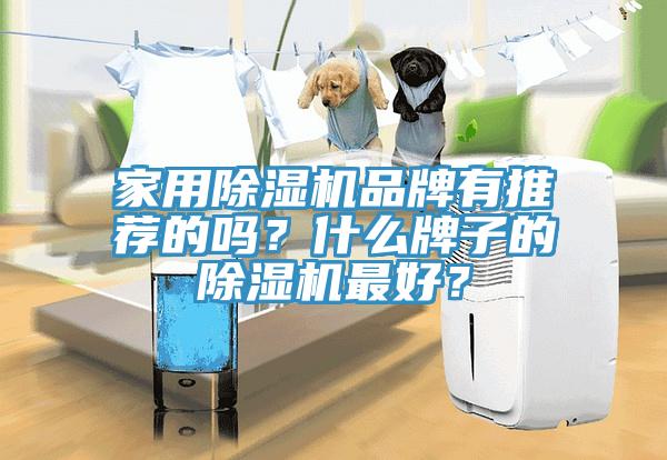 家用除濕機品牌有推薦的嗎？什么牌子的除濕機最好？