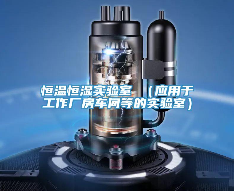 恒溫恒濕實驗室 (應用于工作廠房車間等的實驗室)