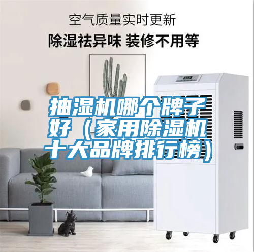 抽濕機(jī)哪個(gè)牌子好(家用除濕機(jī)十大品牌排行榜)