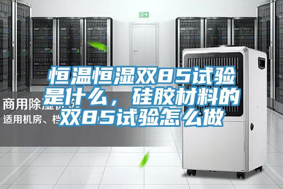 恒溫恒濕雙85試驗是什么，硅膠材料的雙85試驗怎么做