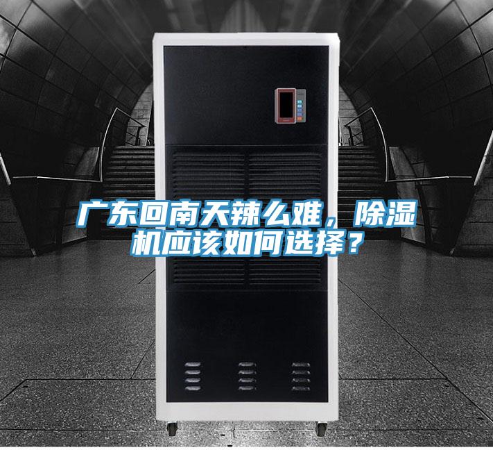 廣東回南天辣么難,除濕機應該如何選擇?