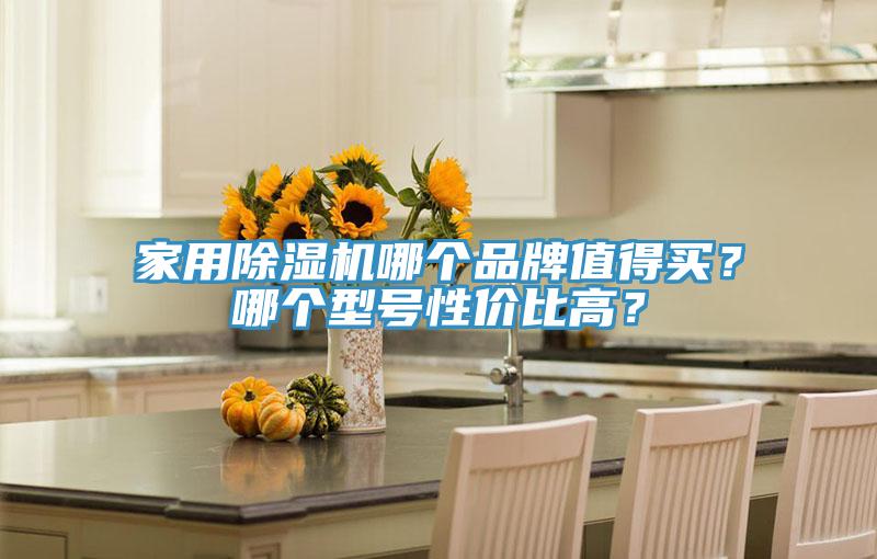 家用除濕機哪個品牌值得買？哪個型號性價比高？