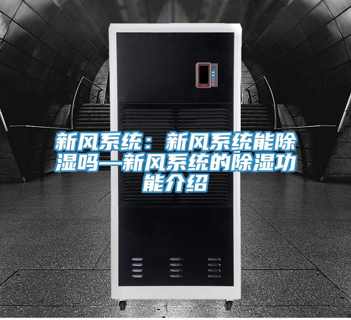 新風(fēng)系統(tǒng):新風(fēng)系統(tǒng)能除濕嗎—新風(fēng)系統(tǒng)的除濕功能介紹