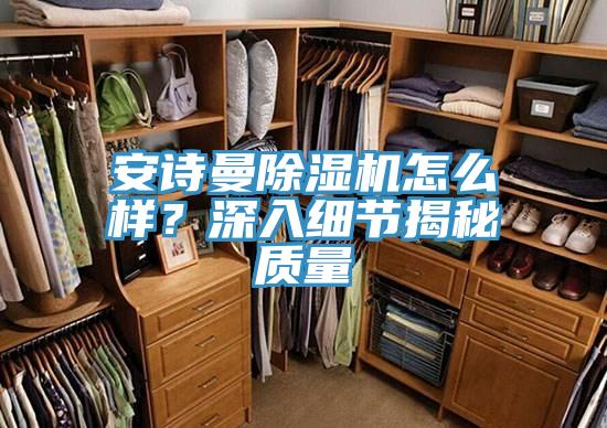 安詩曼除濕機怎么樣?深入細節揭秘質量