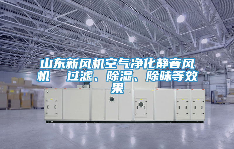 山東新風機空氣凈化靜音風機 過濾、除濕、除味等效果