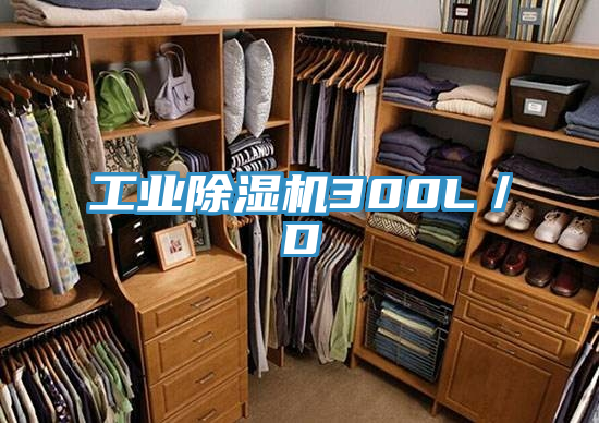 工業(yè)除濕機(jī)300L/D