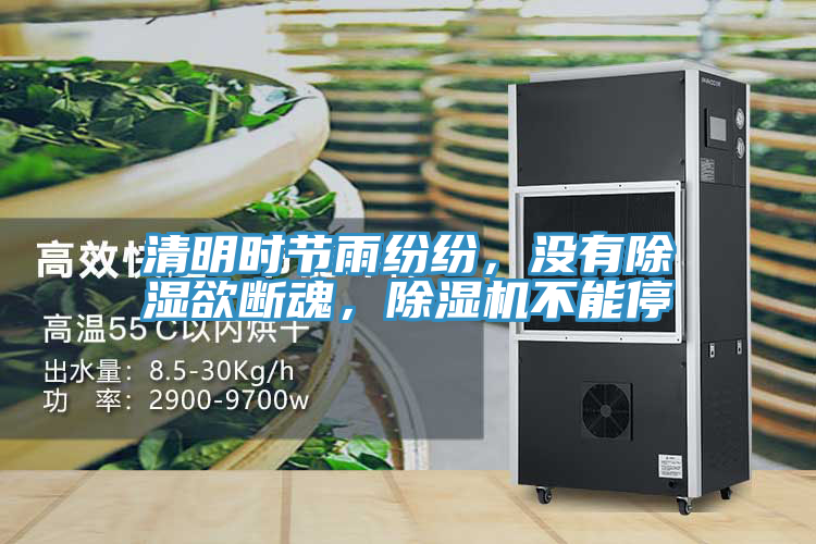 清明時節雨紛紛，沒有除濕欲斷魂，除濕機不能停