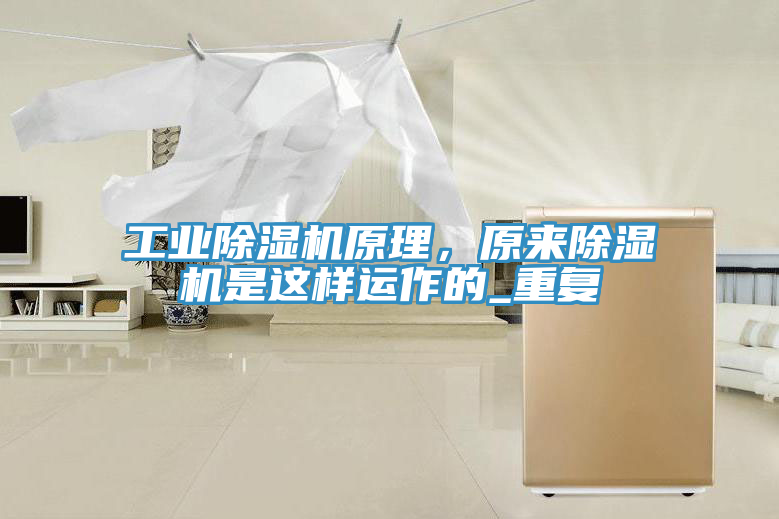 工業(yè)除濕機(jī)原理,原來(lái)除濕機(jī)是這樣運(yùn)作的_重復(fù)