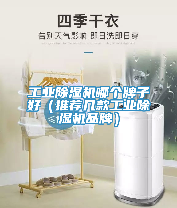 工業(yè)除濕機(jī)哪個(gè)牌子好(推薦幾款工業(yè)除濕機(jī)品牌)