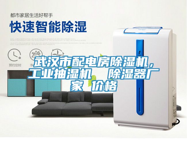 武漢市配電房除濕機，工業抽濕機  除濕器廠家 價格