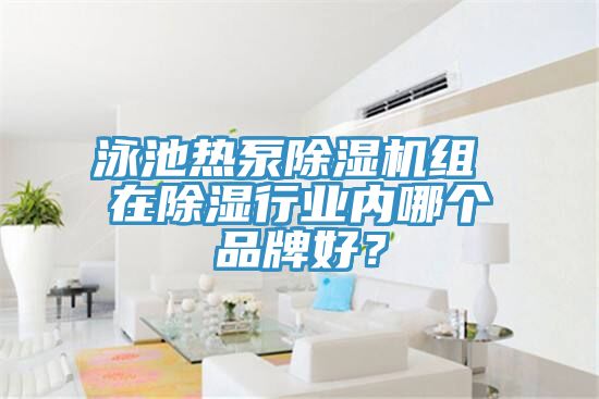 泳池熱泵除濕機組 在除濕行業(yè)內哪個品牌好？