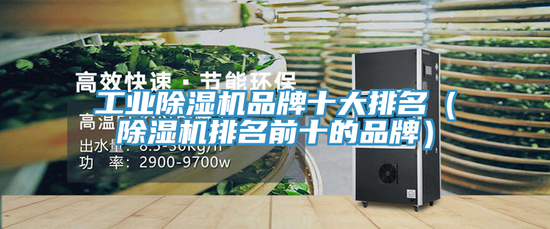 工業(yè)除濕機品牌十大排名(除濕機排名前十的品牌)