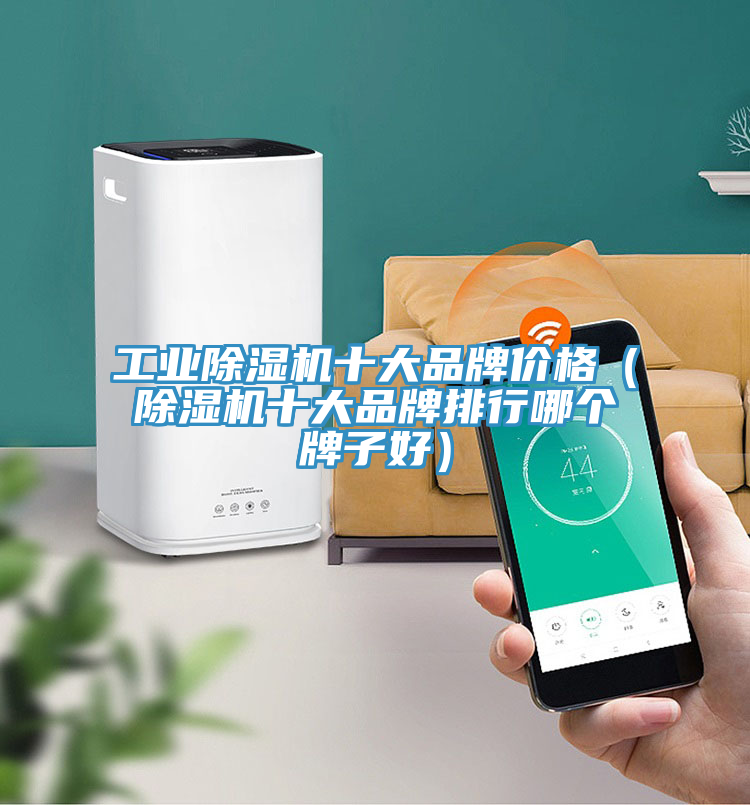工業除濕機十大品牌價格(除濕機十大品牌排行哪個牌子好)