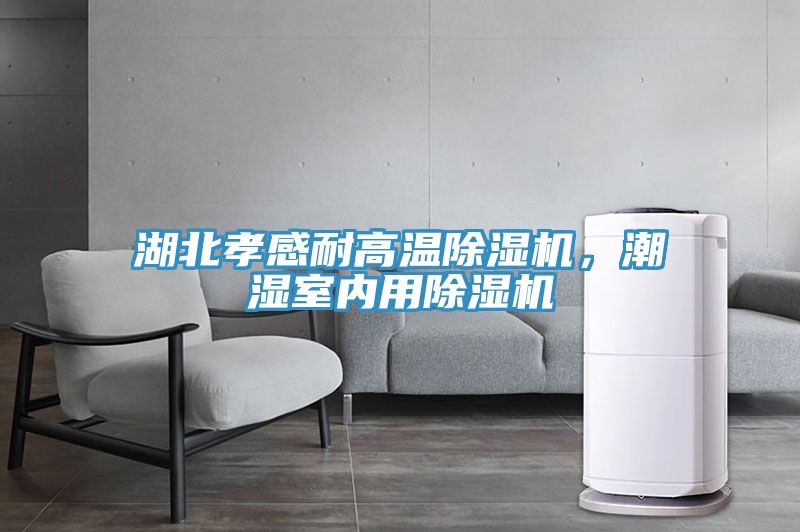 湖北孝感耐高溫除濕機(jī),潮濕室內(nèi)用除濕機(jī)
