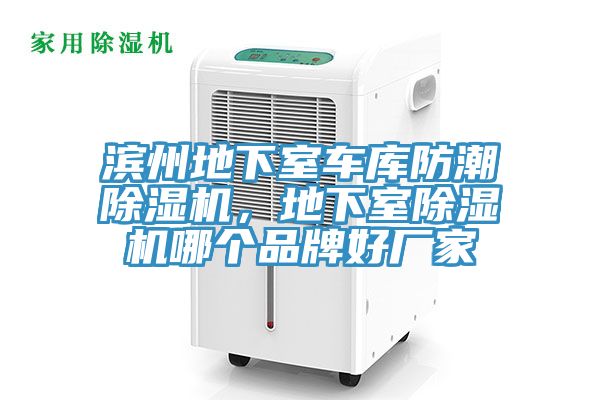 濱州地下室車庫防潮除濕機，地下室除濕機哪個品牌好廠家