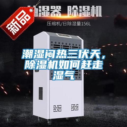 潮濕悶熱三伏天,除濕機如何趕走濕氣