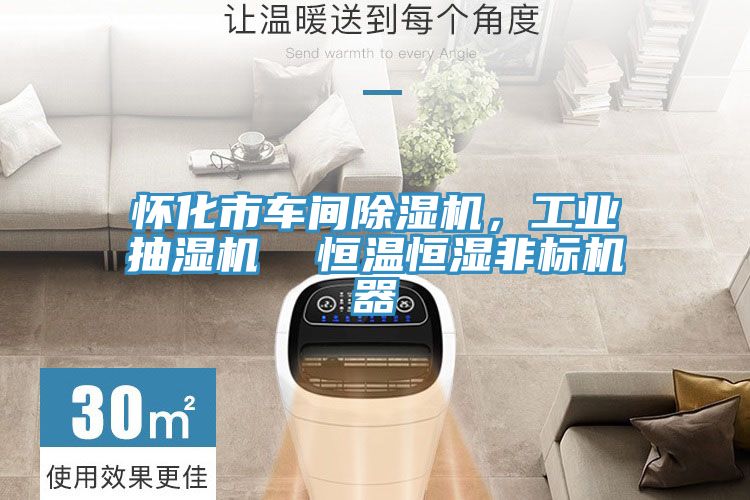 懷化市車間除濕機，工業抽濕機  恒溫恒濕非標機器