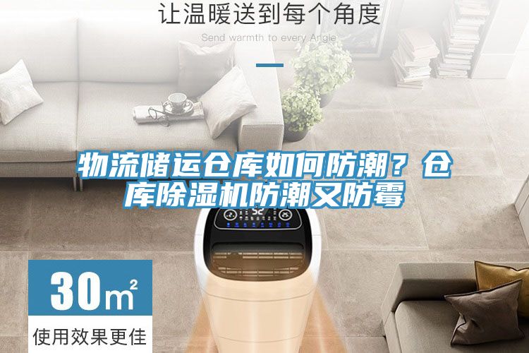 物流儲(chǔ)運(yùn)倉(cāng)庫(kù)如何防潮?倉(cāng)庫(kù)除濕機(jī)防潮又防霉