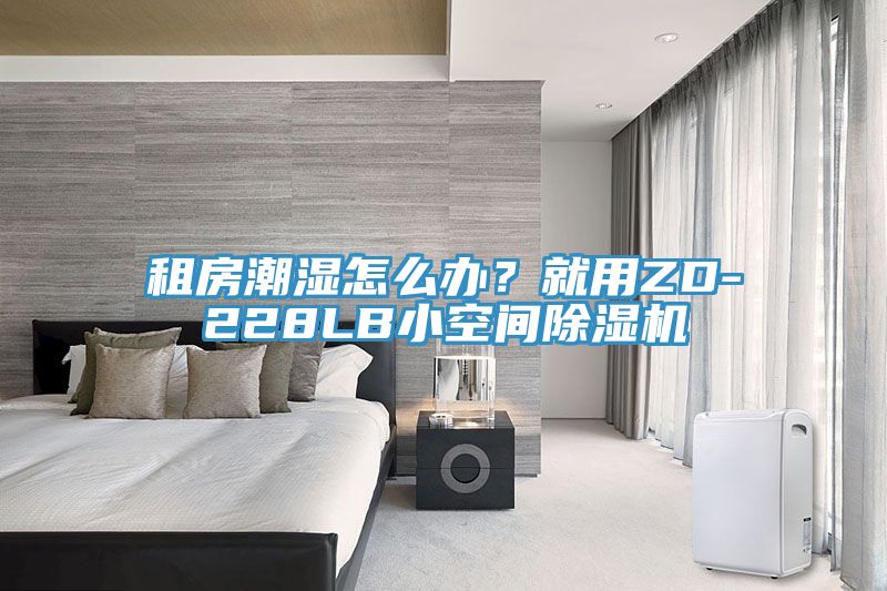 租房潮濕怎么辦?就用ZD-228LB小空間除濕機