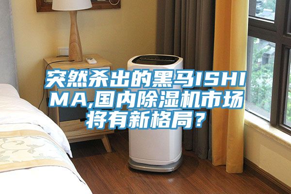 突然殺出的黑馬ISHIMA,國內(nèi)除濕機市場將有新格局？