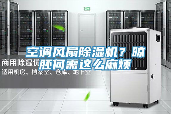 空調(diào)風扇除濕機？晾胚何需這么麻煩