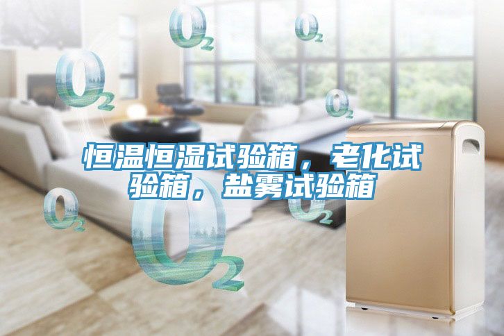 恒溫恒濕試驗箱,老化試驗箱,鹽霧試驗箱