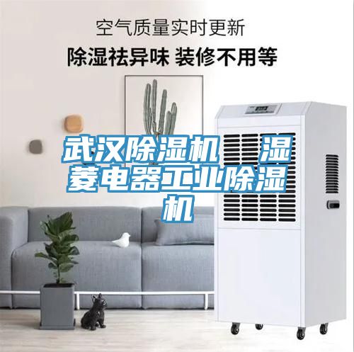 武漢除濕機(jī) 濕菱電器工業(yè)除濕機(jī)