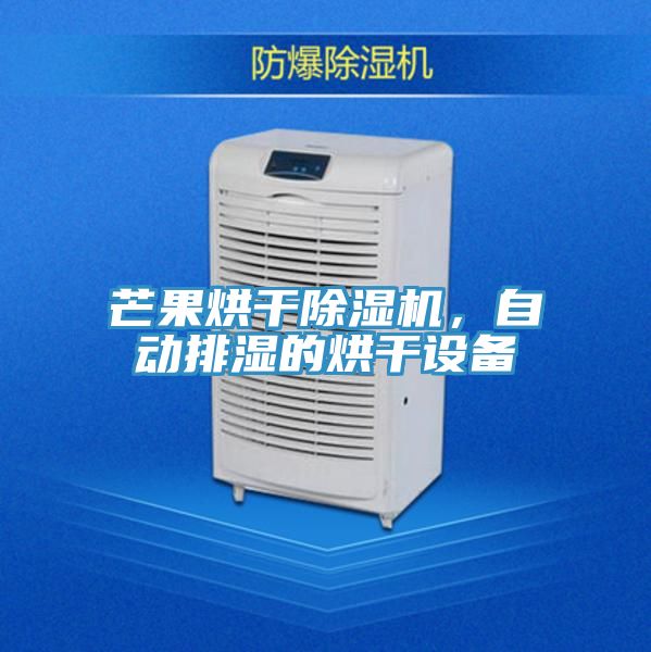 芒果烘干除濕機，自動排濕的烘干設備