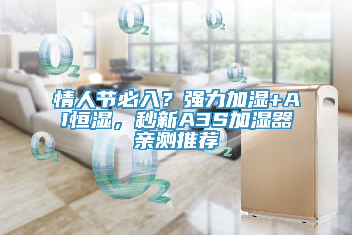 情人節(jié)必入？強(qiáng)力加濕+AI恒濕，秒新A3S加濕器親測(cè)推薦