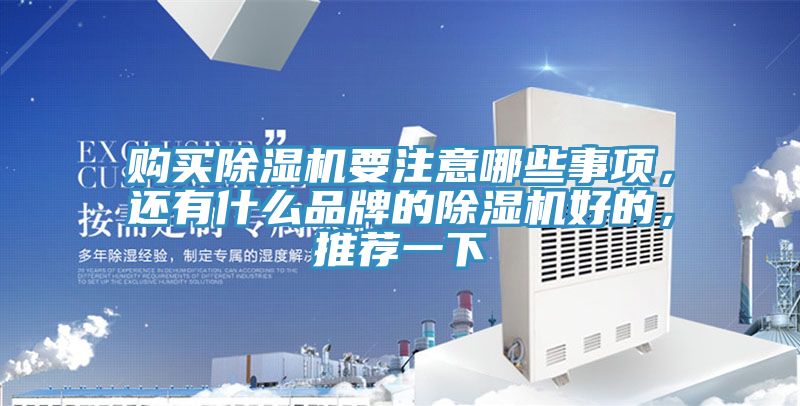 購買除濕機要注意哪些事項,還有什么品牌的除濕機好的,推薦一下