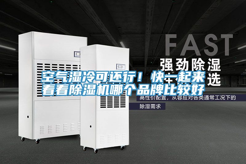 空氣濕冷可還行!快一起來看看除濕機(jī)哪個(gè)品牌比較好