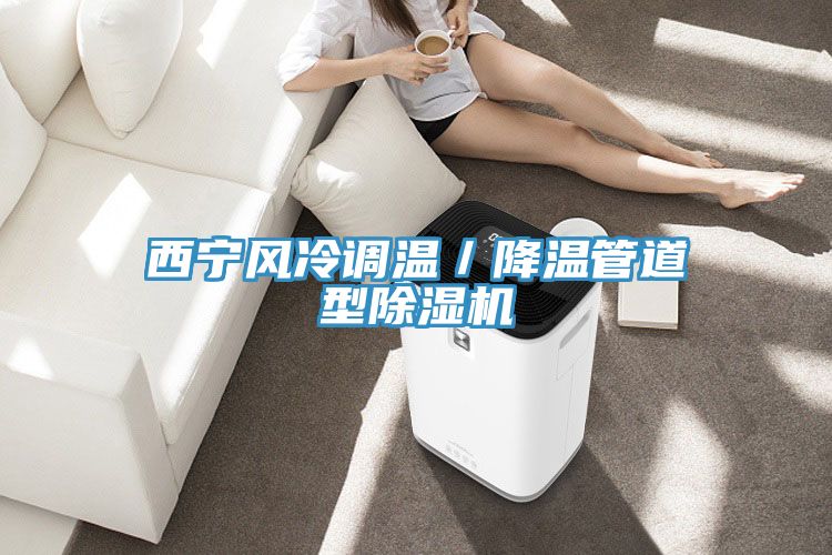 西寧風(fēng)冷調(diào)溫/降溫管道型除濕機