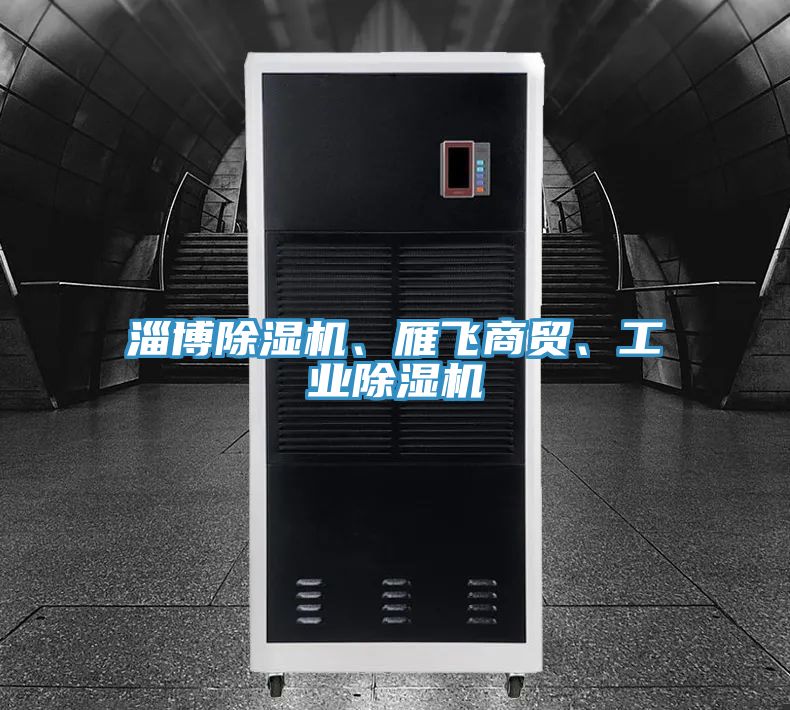 淄博除濕機、雁飛商貿、工業除濕機