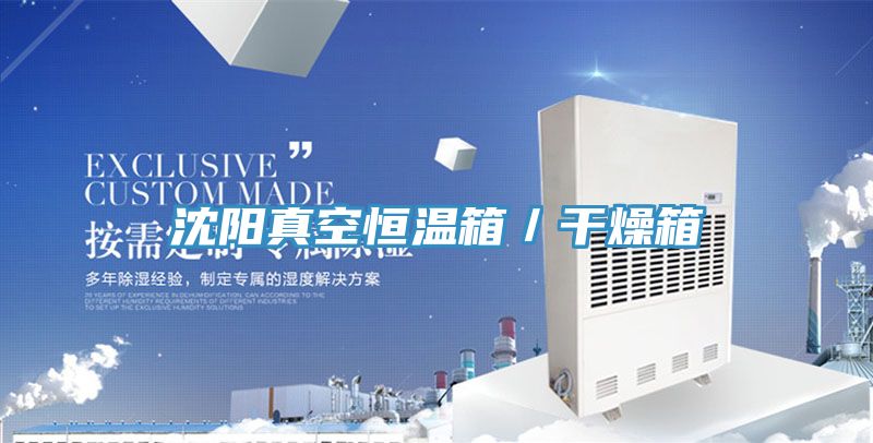 沈陽真空恒溫箱/干燥箱