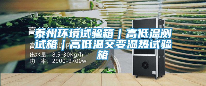 泰州環(huán)境試驗(yàn)箱|高低溫測試箱|高低溫交變濕熱試驗(yàn)箱