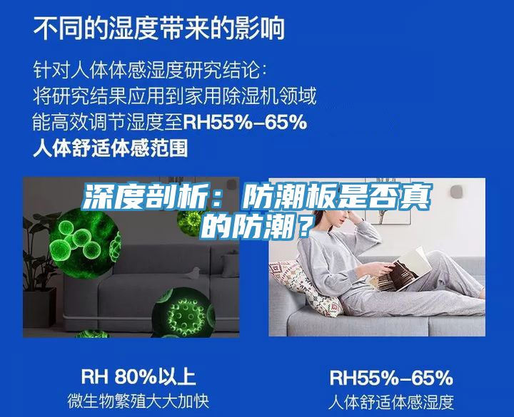 深度剖析：防潮板是否真的防潮？