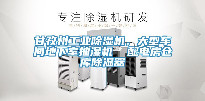 甘孜州工業除濕機，大型車間地下室抽濕機  配電房倉庫除濕器