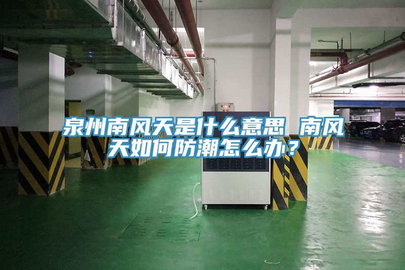 泉州南風(fēng)天是什么意思 南風(fēng)天如何防潮怎么辦?