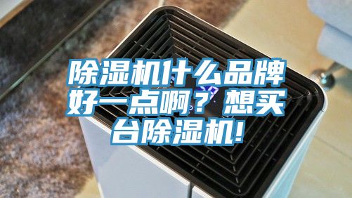 除濕機什么品牌好一點??？想買臺除濕機!