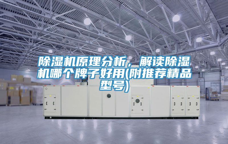 除濕機(jī)原理分析,解讀除濕機(jī)哪個(gè)牌子好用(附推薦精品型號)