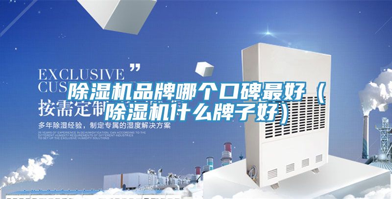 除濕機品牌哪個口碑最好(除濕機什么牌子好)