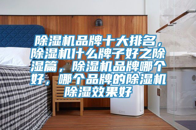 除濕機品牌十大排名,除濕機什么牌子好之除濕篇,除濕機品牌哪個好,哪個品牌的除濕機除濕效果好