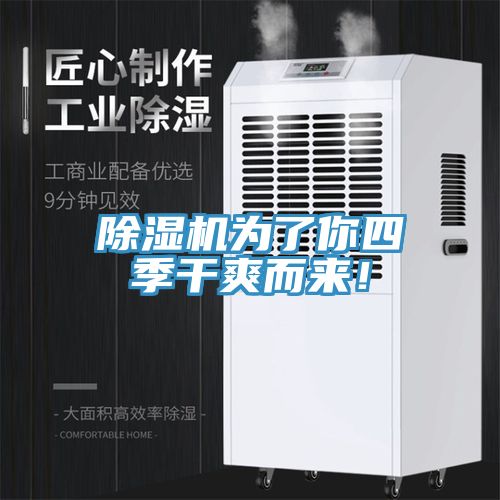 除濕機為了你四季干爽而來！