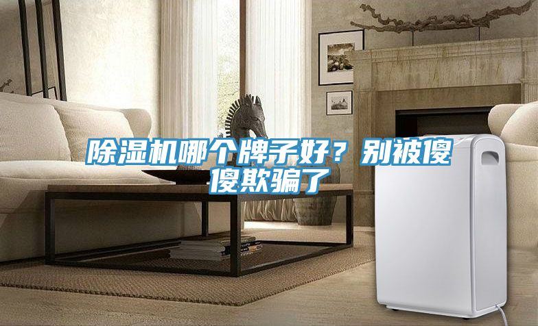 除濕機哪個牌子好？別被傻傻欺騙了