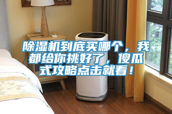 除濕機(jī)到底買哪個(gè)，我都給你挑好了，傻瓜式攻略點(diǎn)擊就看！